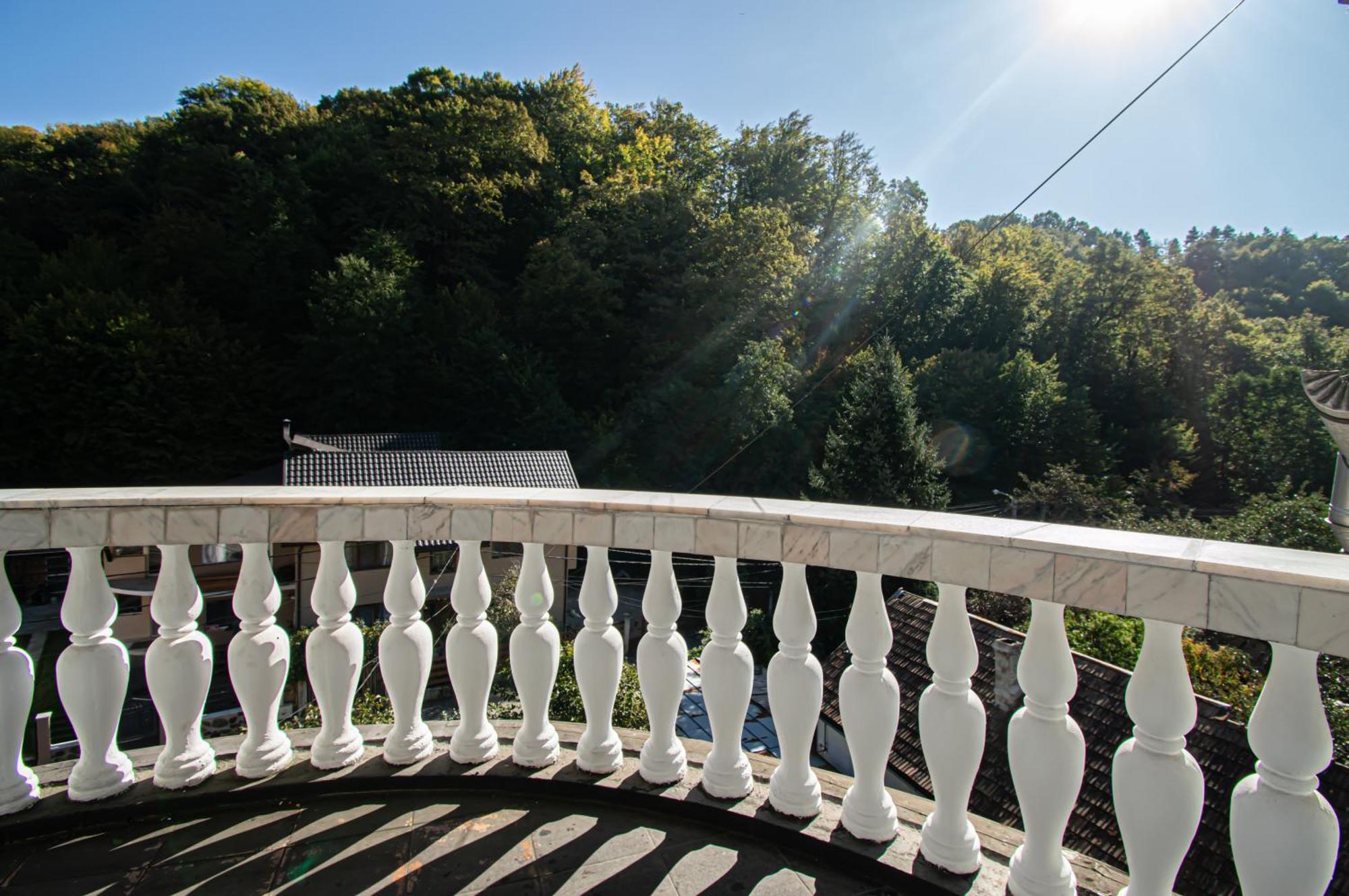 Pensiune Forest Park Baia Mare Exteriér fotografie